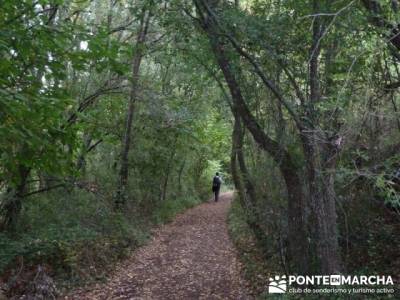 Cañones y nacimento del Ebro - Monte Hijedo;rutas madrid sierra;senderismo a tu aire